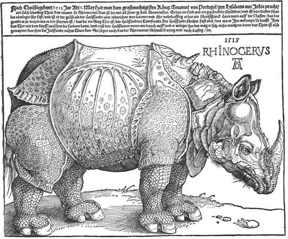 Rhinoceros. Skizze von Albrecht Dürer, 1515.