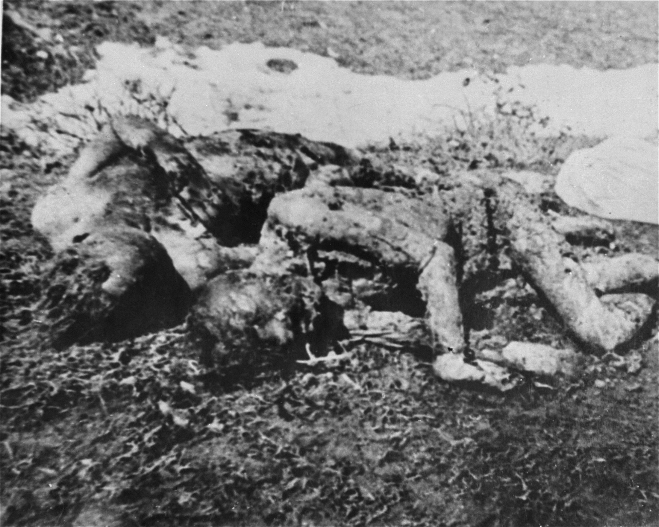 Executed_prisoners_in_Jasenovac.jpg