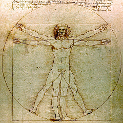 vitruvian man