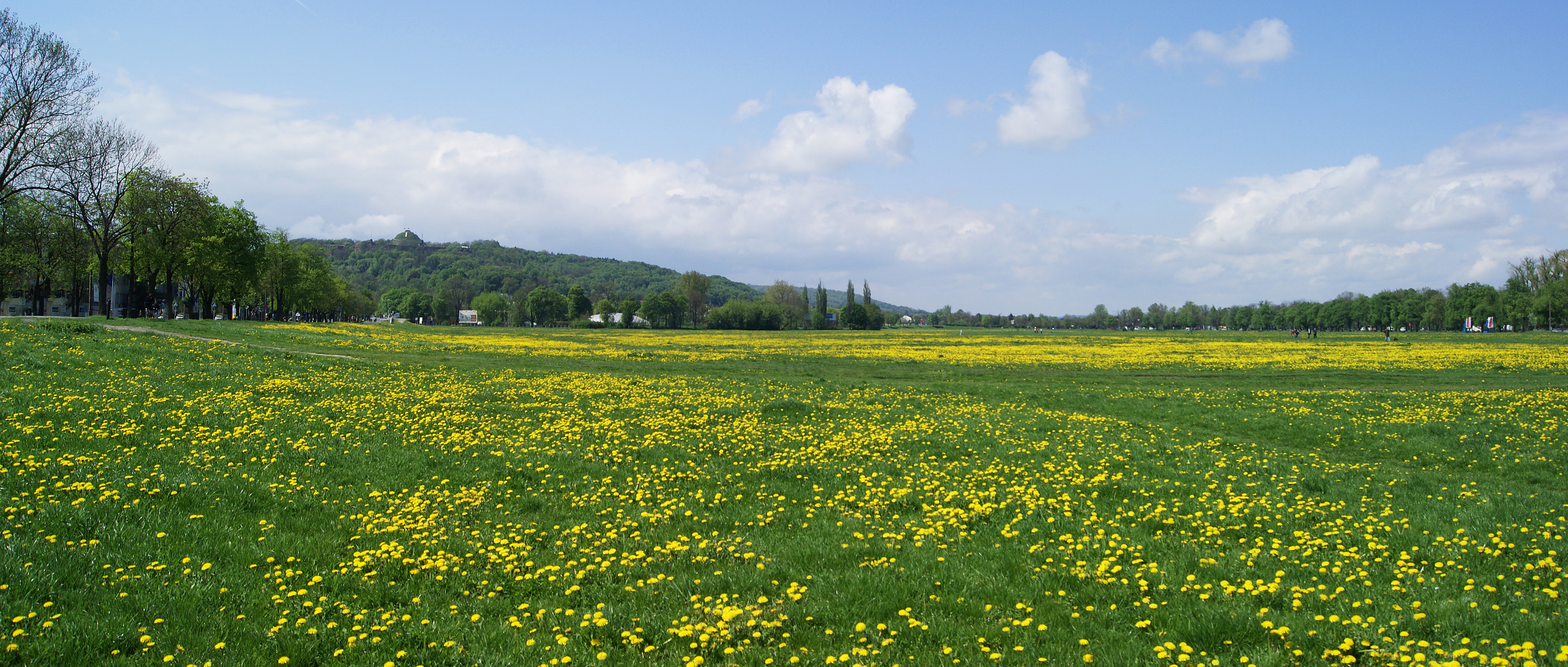 Krakow_Blonia_(Meadow)_view_to_W,Krakow,