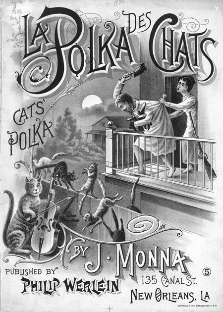 La polka nocturne des chats !!!