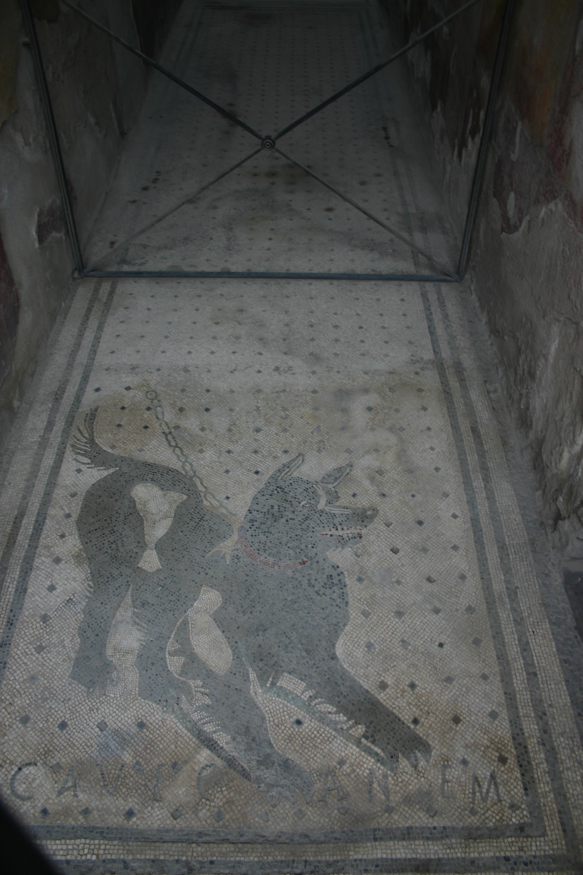 dog of pompeii