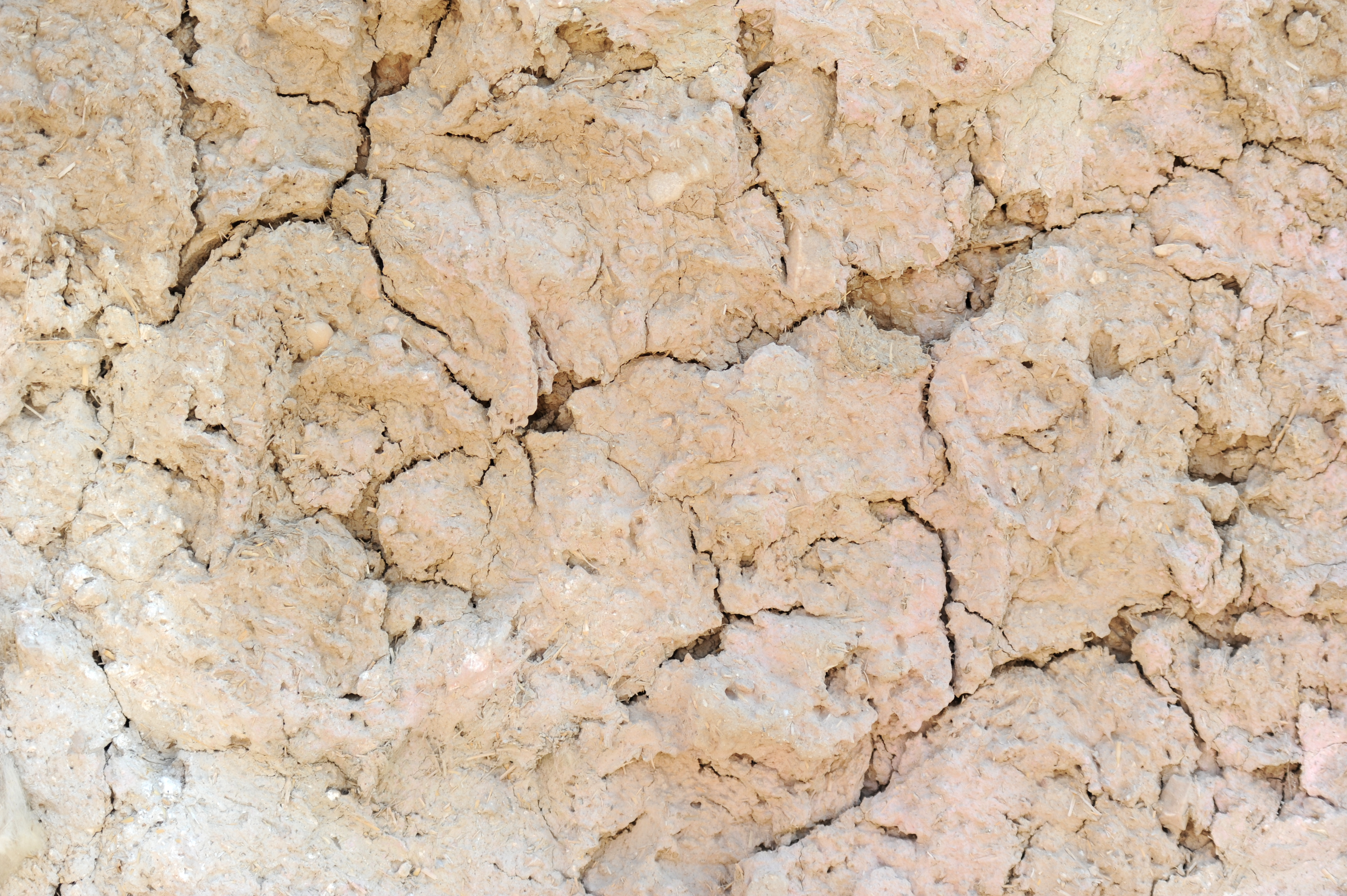 wattle and daub