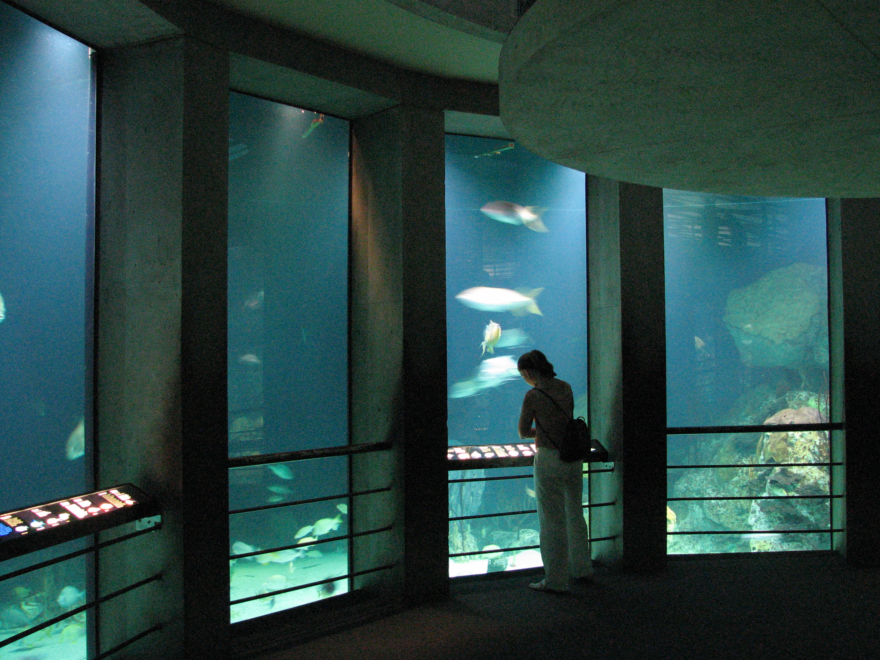 aquarium baltimore