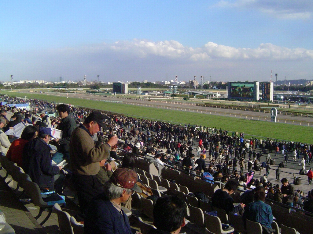 Tokyo Racecourse