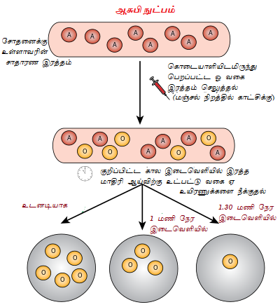 Ashby Technique Visual Representation.