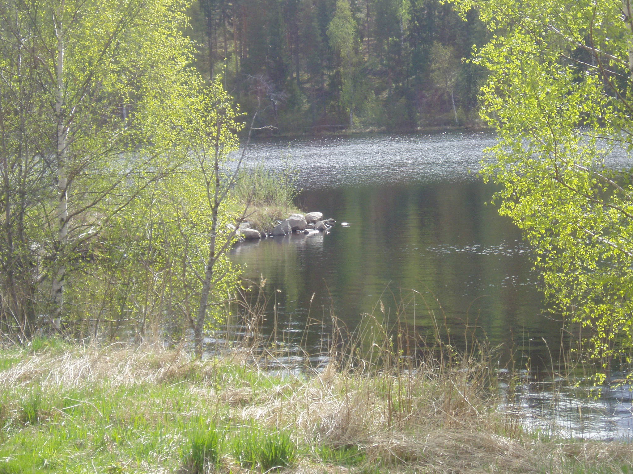 Finnish Lake