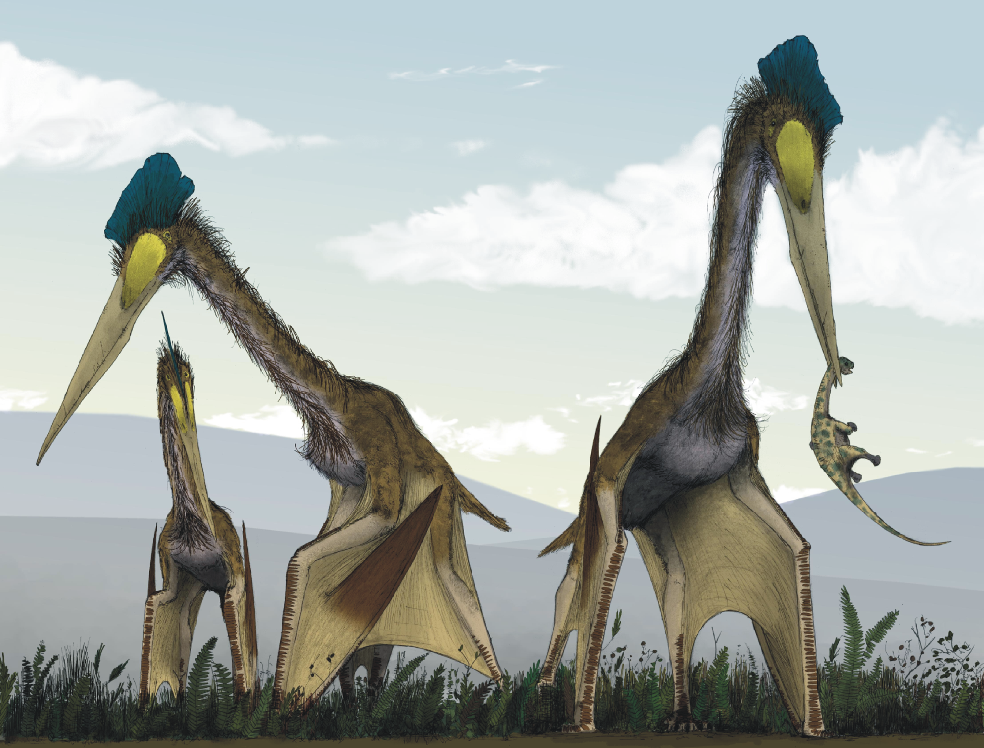 Life_restoration_of_a_group_of_giant_azhdarchids,_Quetzalcoatlus_northropi,_foraging_on_a_Cretaceous_fern_prairie.png