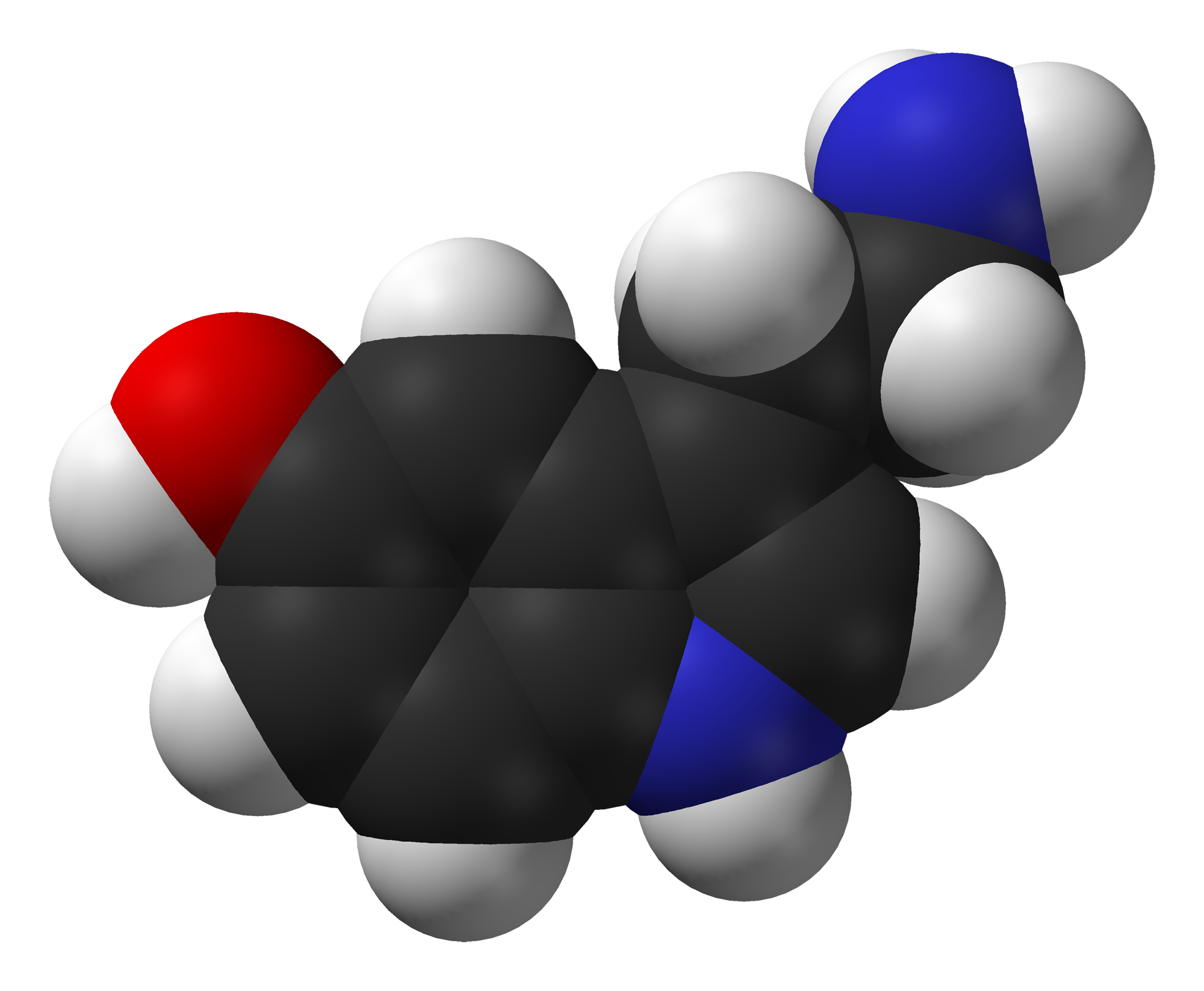 Serotonina en su máximo esplendor. Fuente Wikipedia