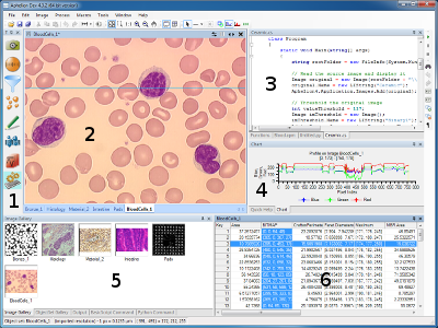 Aphelion Dev Graphical User Interface version 4.x: (1) Task Bar, (2) Image Display, (3) Macro editing window/Function window, (4) Charts (a profile is displayed in this example), (5) Image Gallery, (6) Measurement grid. AphelionDev GUI.png