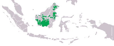 Mapa distribuicao pongo pygmaeus