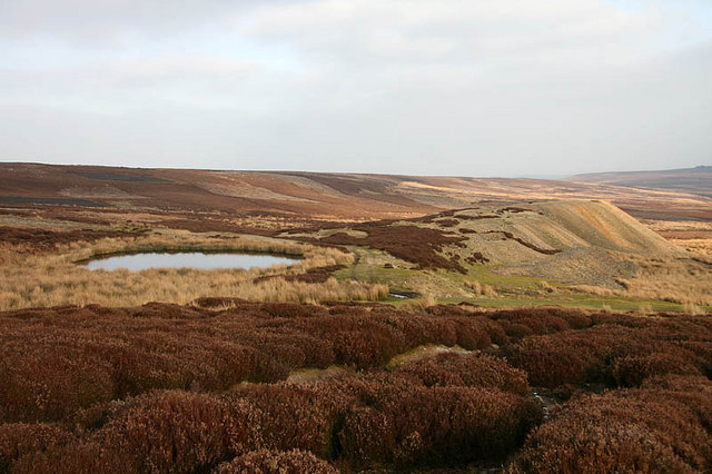 Pond_and_mine_tips_-_geograph.org.uk_-_1211104.jpg