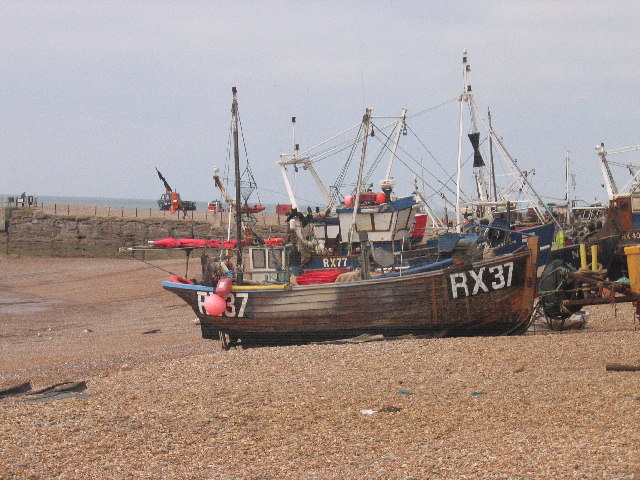 hastings fishing fleet