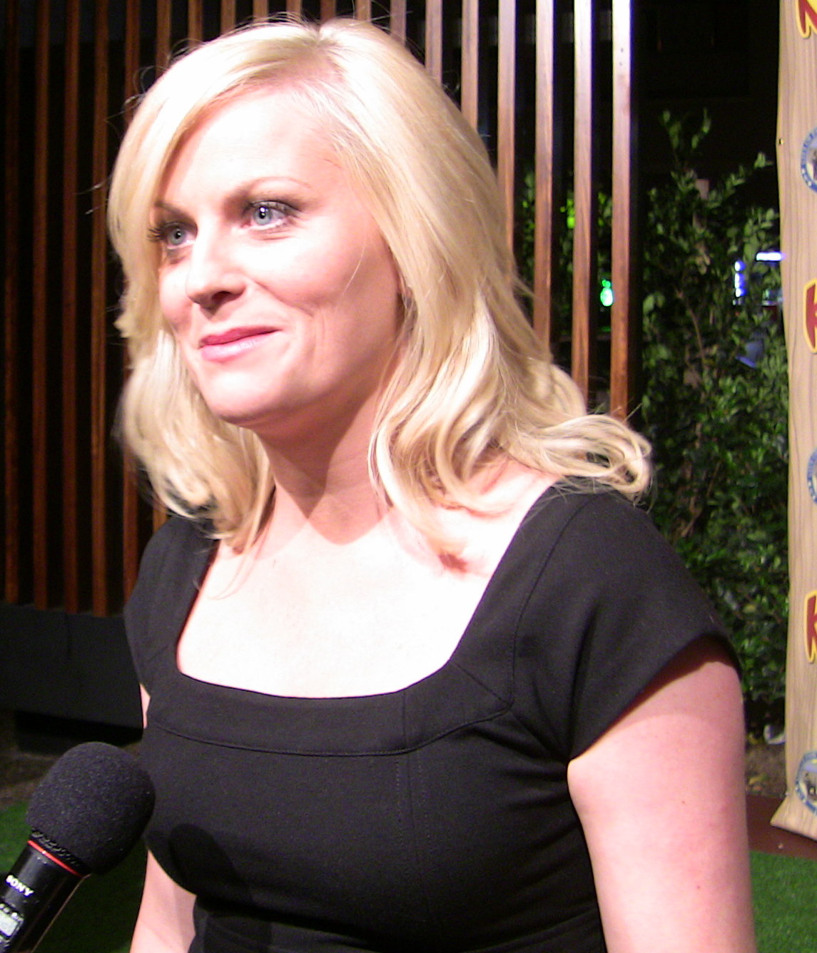 Amy Poehler - HD Wallpapers