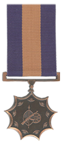 Merit Medal in Bronze.jpg