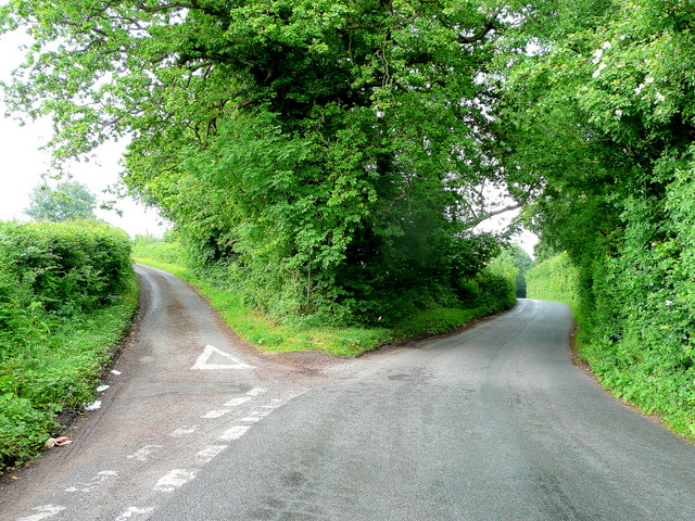 Fork in the road - geograph.org.uk - 1355424