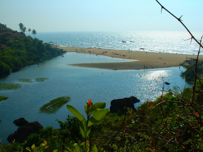 Beach India Goa