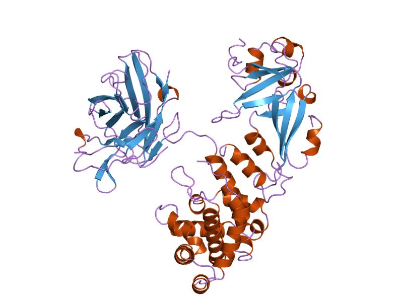 PDB 1xdt EBI