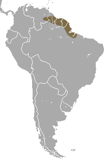 Description de l'image Pinheiro's Slender Opossum area.png.