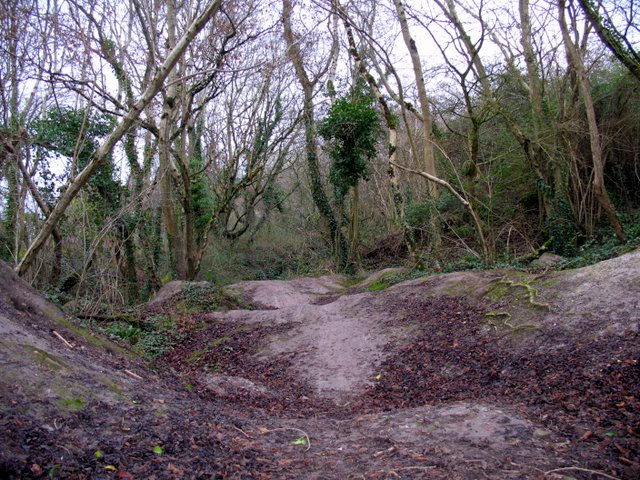 Land of Treachery  Uneven_wooded_ground_near_Lime_Kiln_Lane._-_geograph.org.uk_-_663837