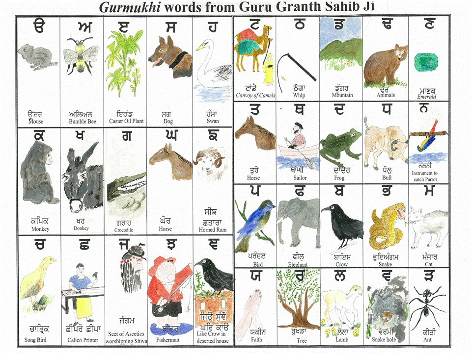 Names of animals, In india and Scripts on Pinterest