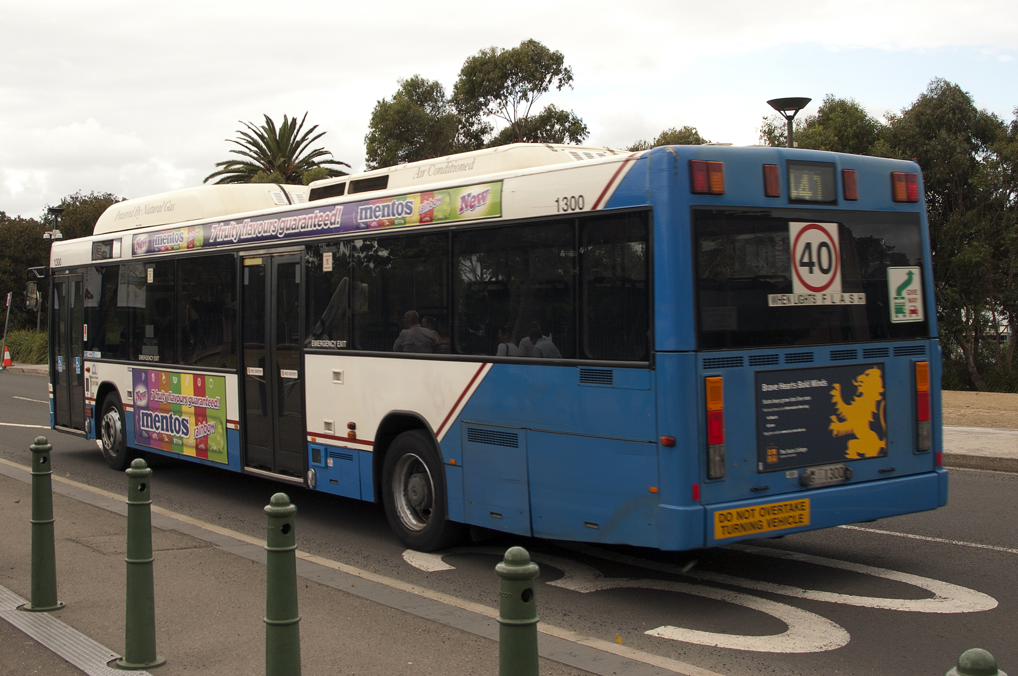 Custom Buses