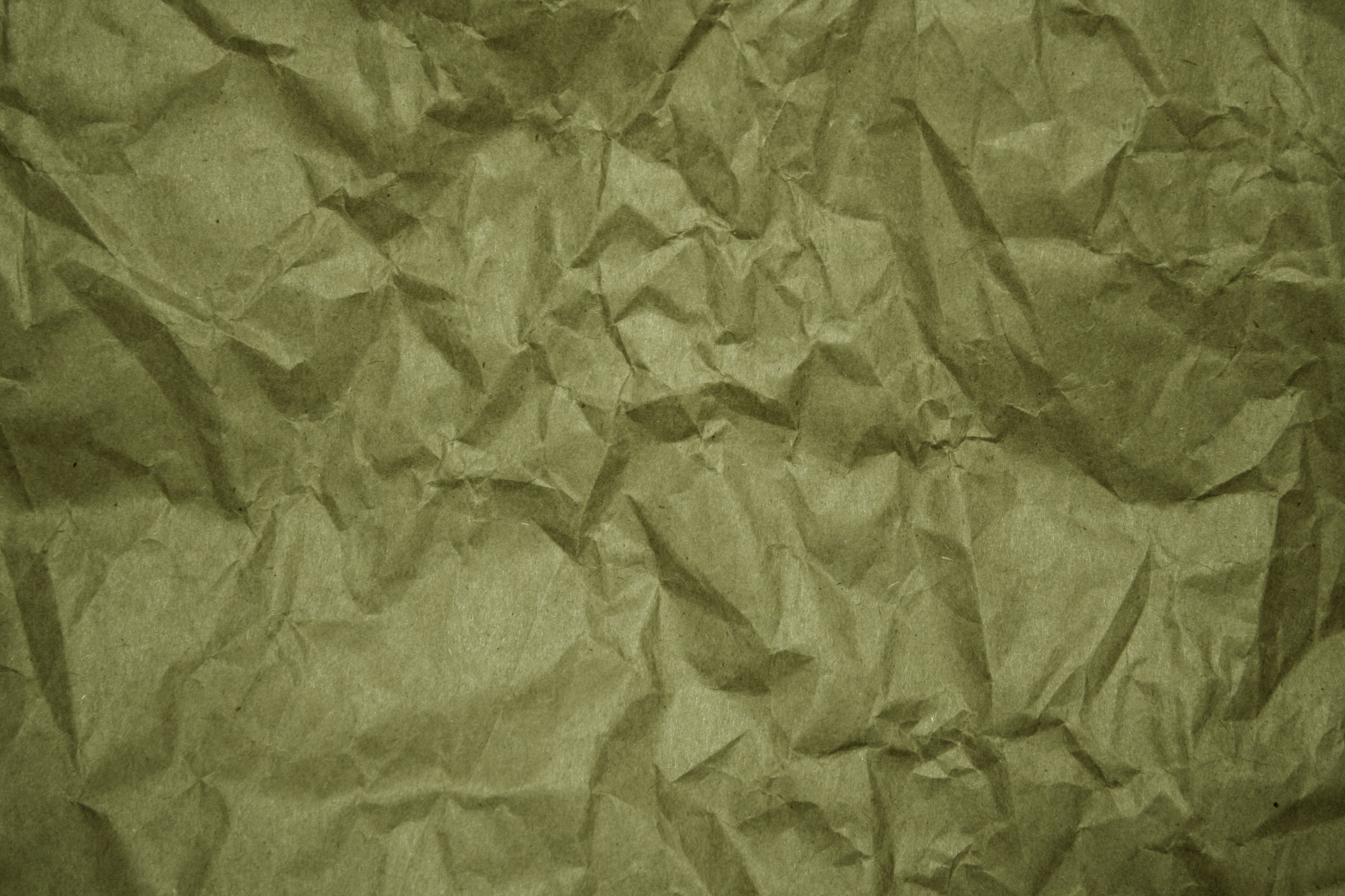 Description Crumpled olive green paper.jpg