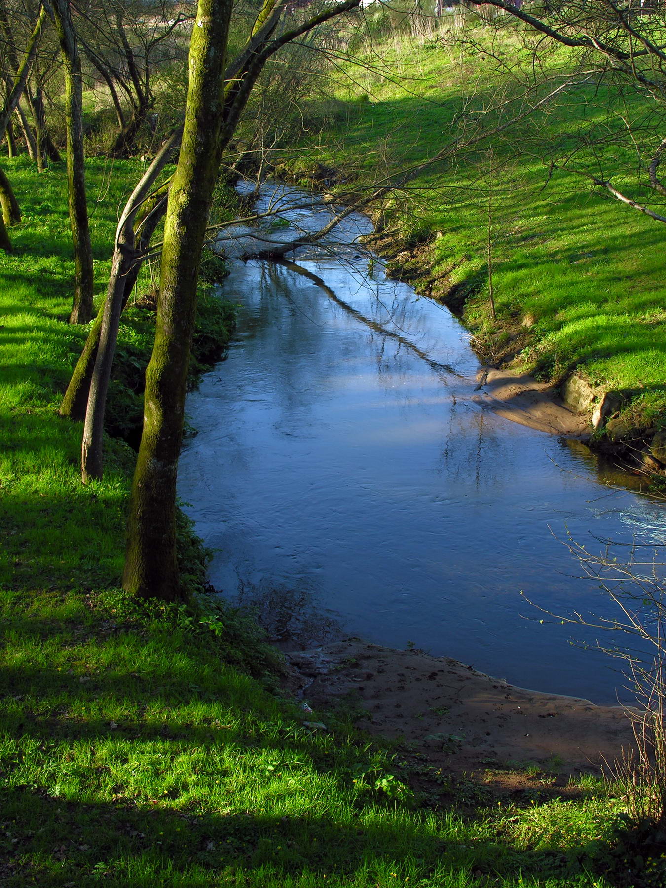 Río Sar en Galicia (España) (wikimedia.org)