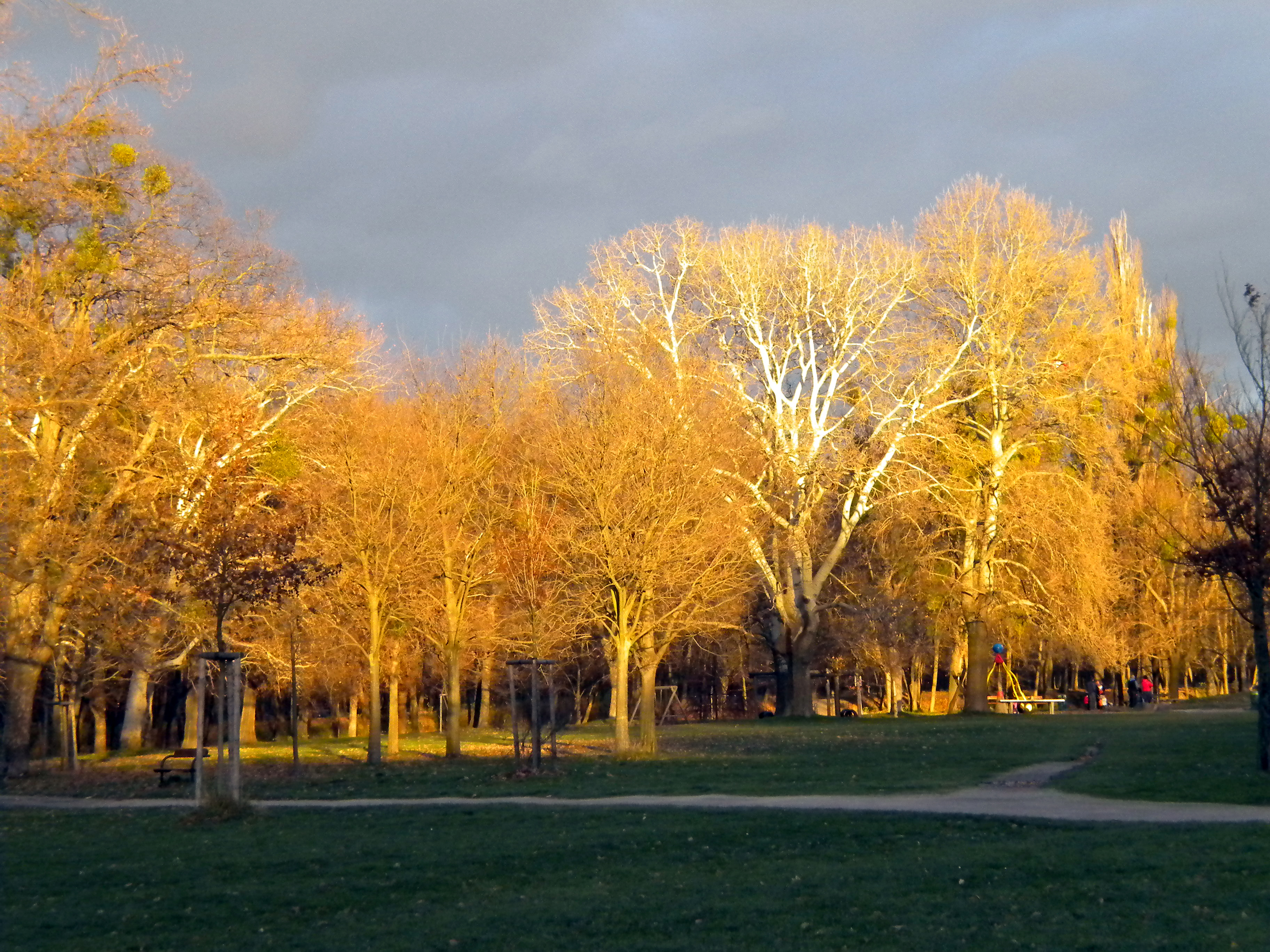 Herbststimmunjesuitenwiese.jpg