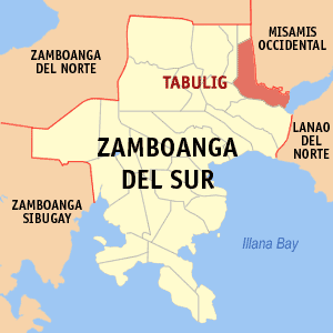 Mapa sa Zamboanga del Sur nga nagpakita kon asa nahimutang ang Tambulig