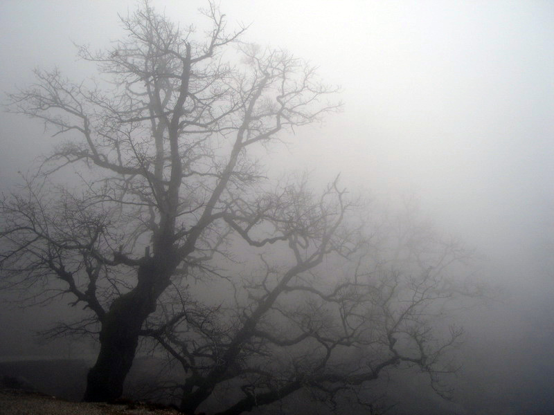 File:Fog.jpg - Wikipedia