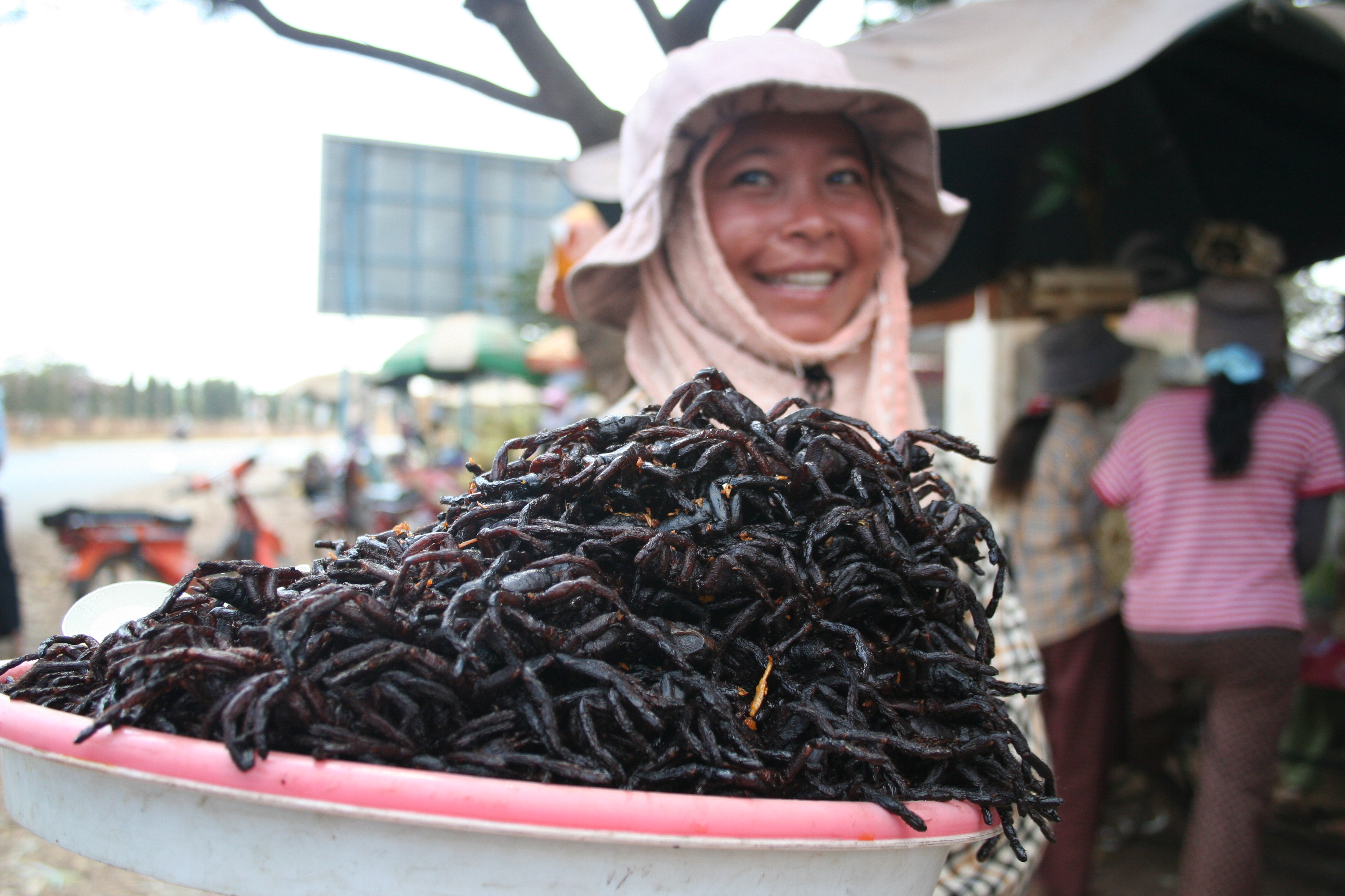 cambodia fried spiders