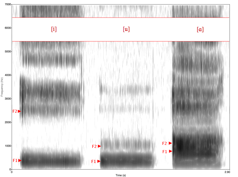 Espectrograma de las vocales inglesas i, u, ɑ. [http://commons.wikimedia.org/wiki/File:Spectrogram_-iua-.png]