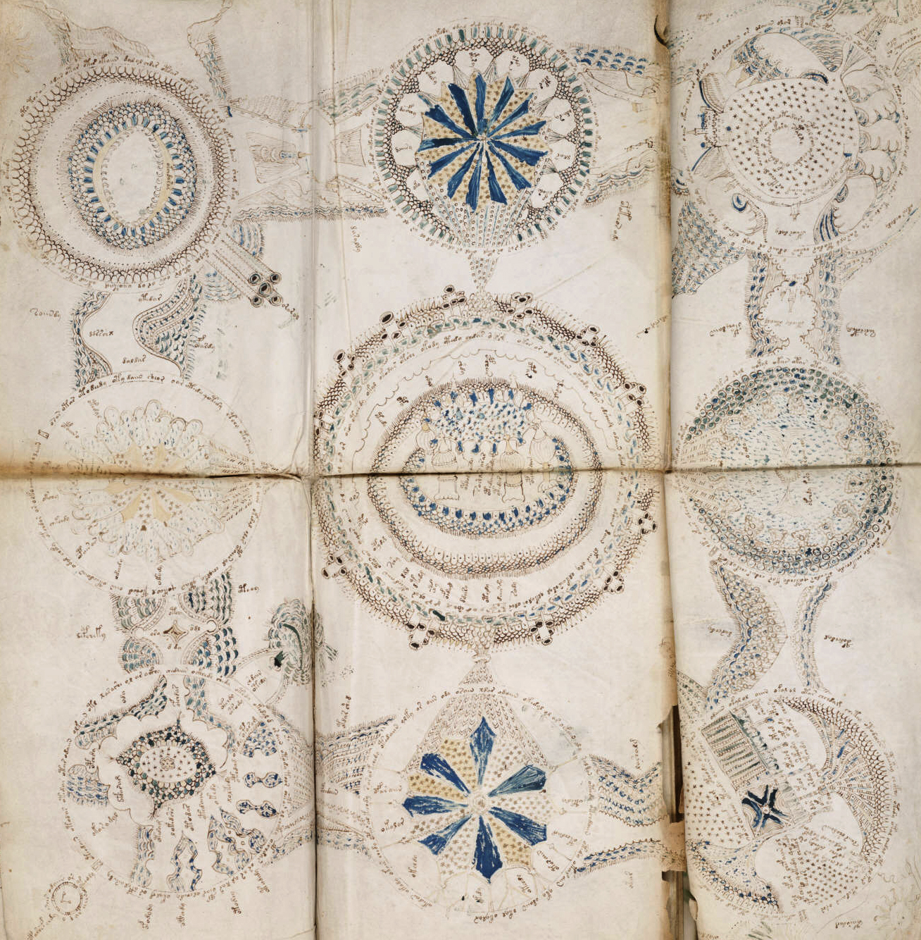 File:Voynich manuscript cosmological example 86v crop.jpg - Wikimedia ...