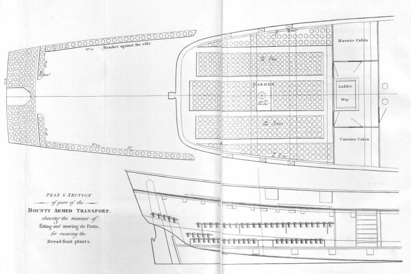 hms bligh