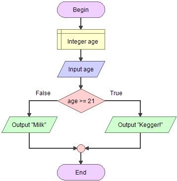 Flowgorithm : Age and Drink