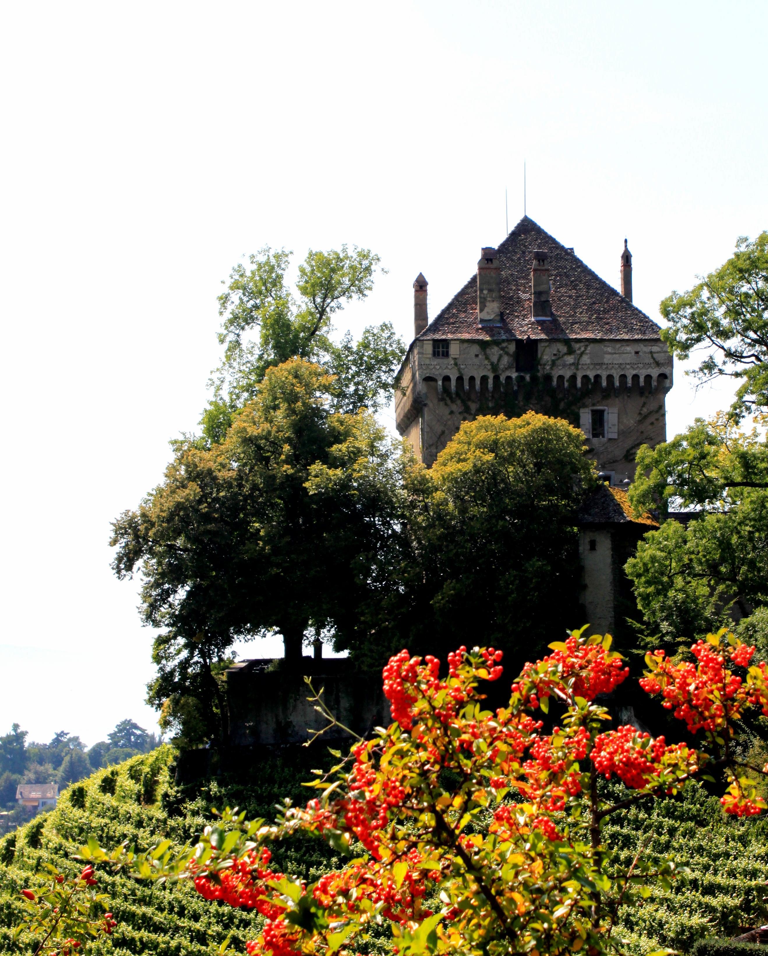 Chateau Du Chatelard