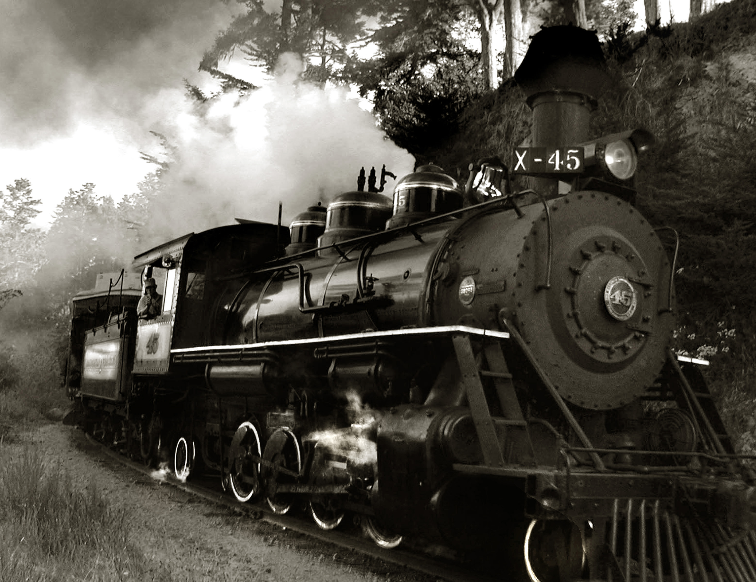 Description California Western Railroad Locomotive 45.jpg