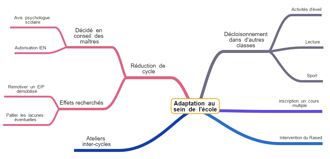 carte mentale répertoriant toutes les adaptations à faire au sein de l'école pour les EIP