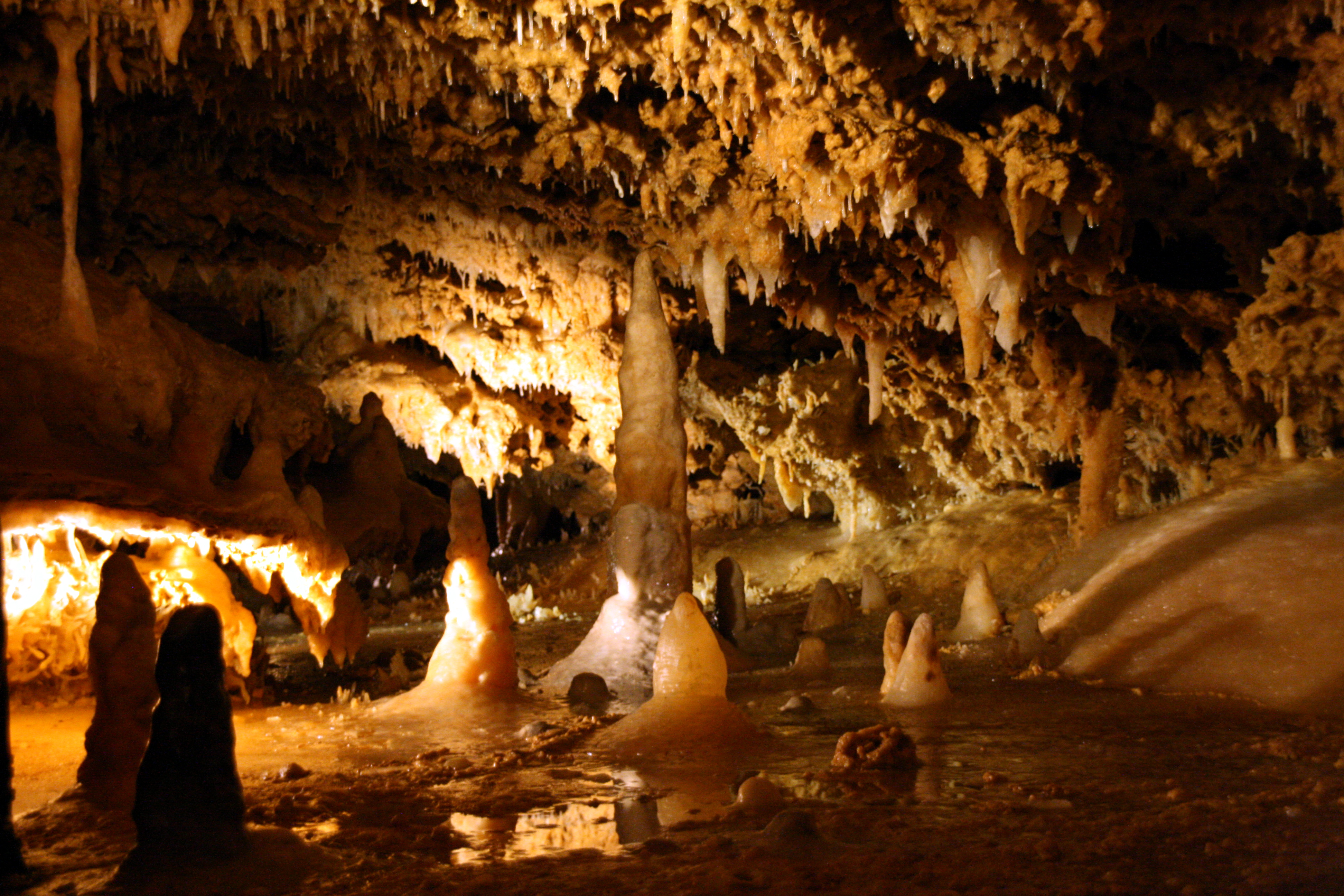 Grotte_du_Grand_Roc_-_Les_Eyzies_de_Tayac_-_20090923.jpg