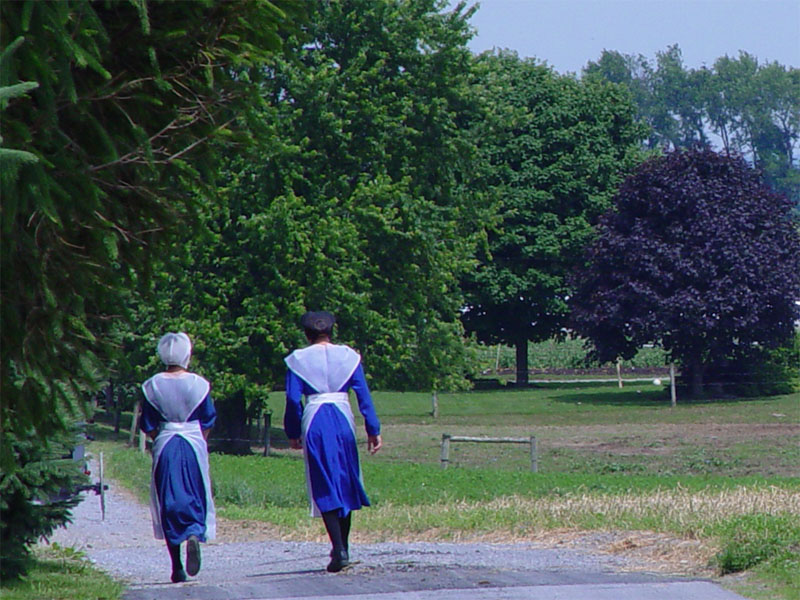 טעקע:Lancaster County Amish 02.jpg