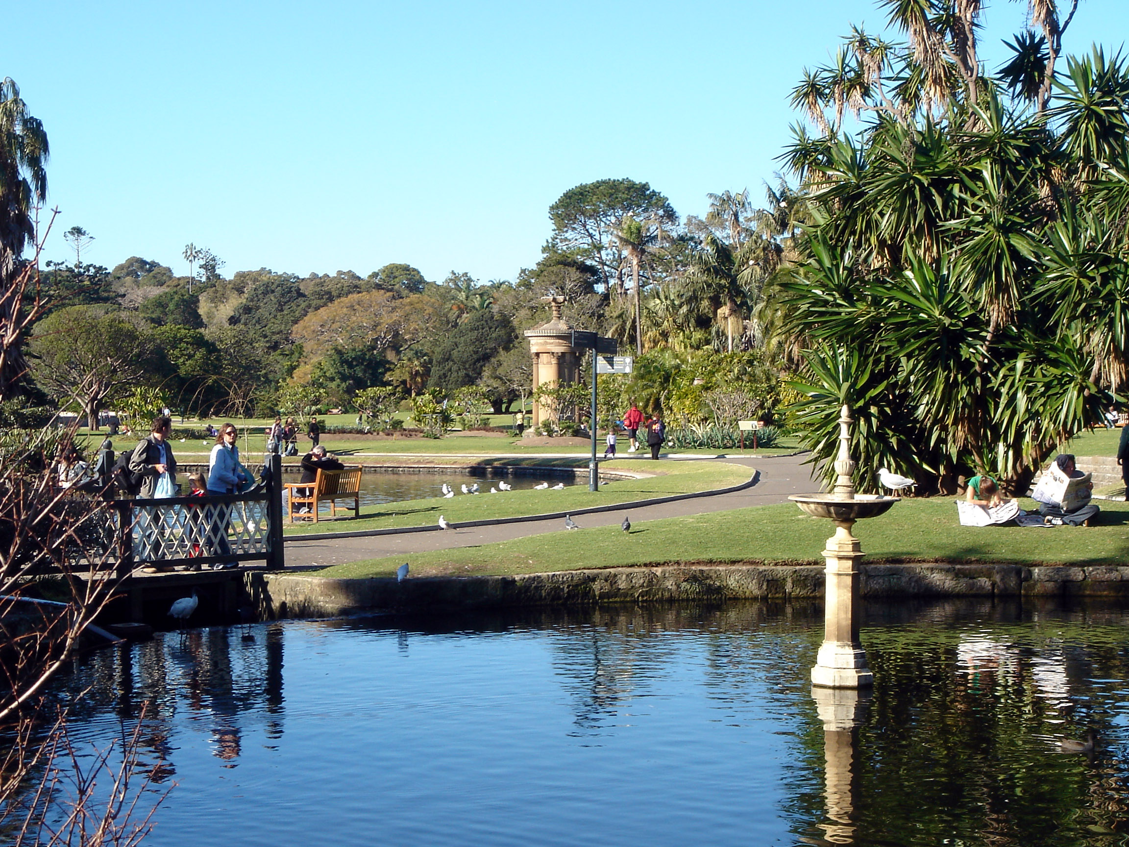 Botanical Gardens Sydney