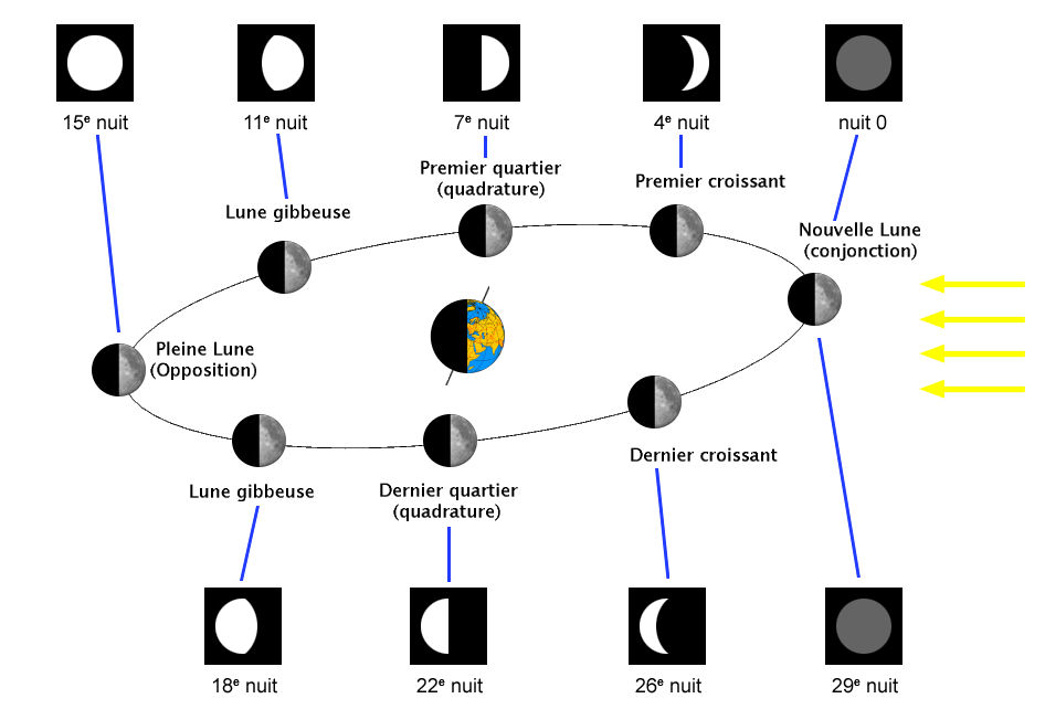 terreorbiteluneetphases