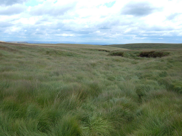 Wilding Fields, Darwen Moor - geograph.org.uk - 217635