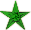 Green Islamic Barnstar - Anas