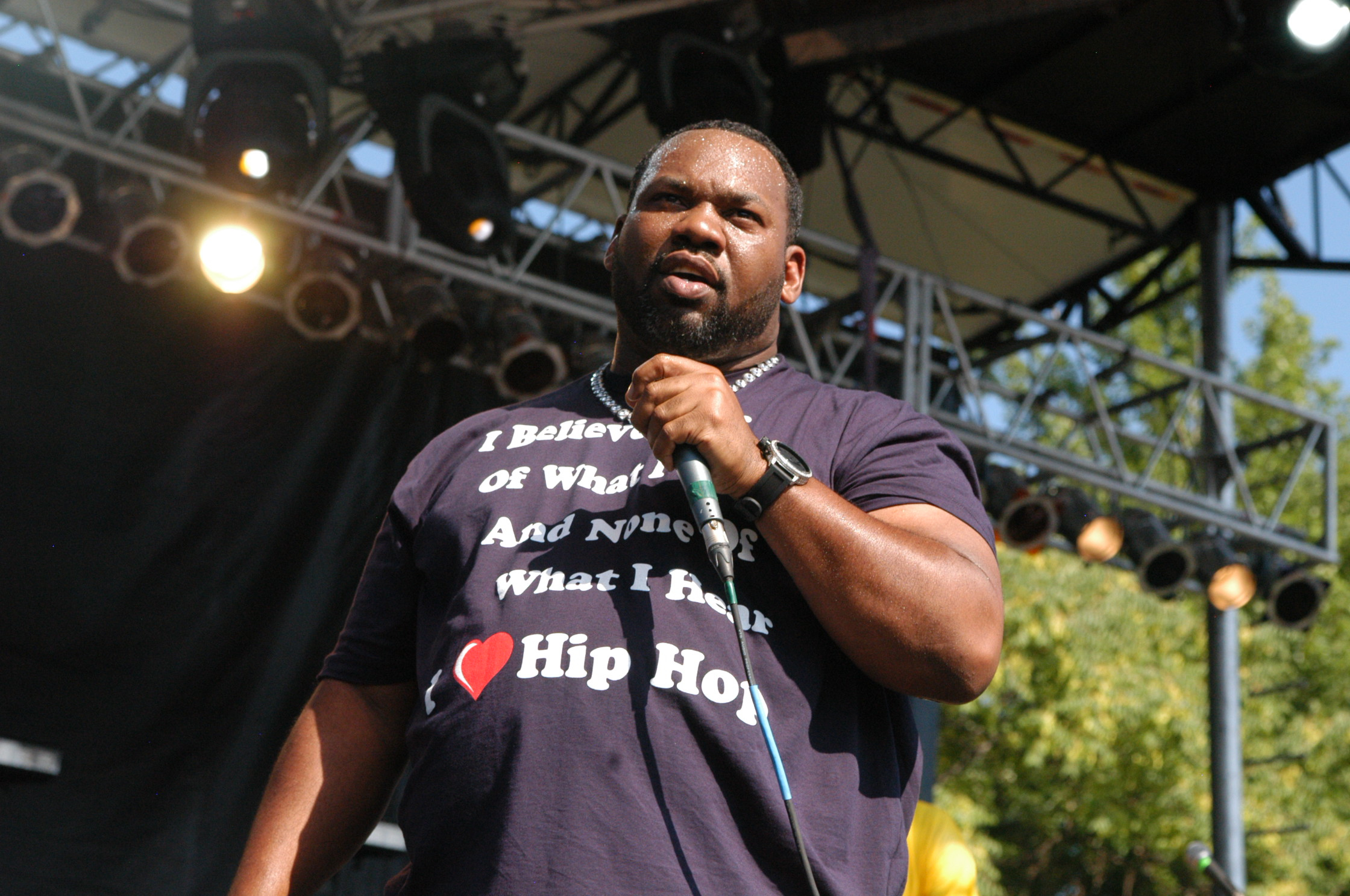 Raekwon_at_the_Pitchfork_Music_Festival.jpg