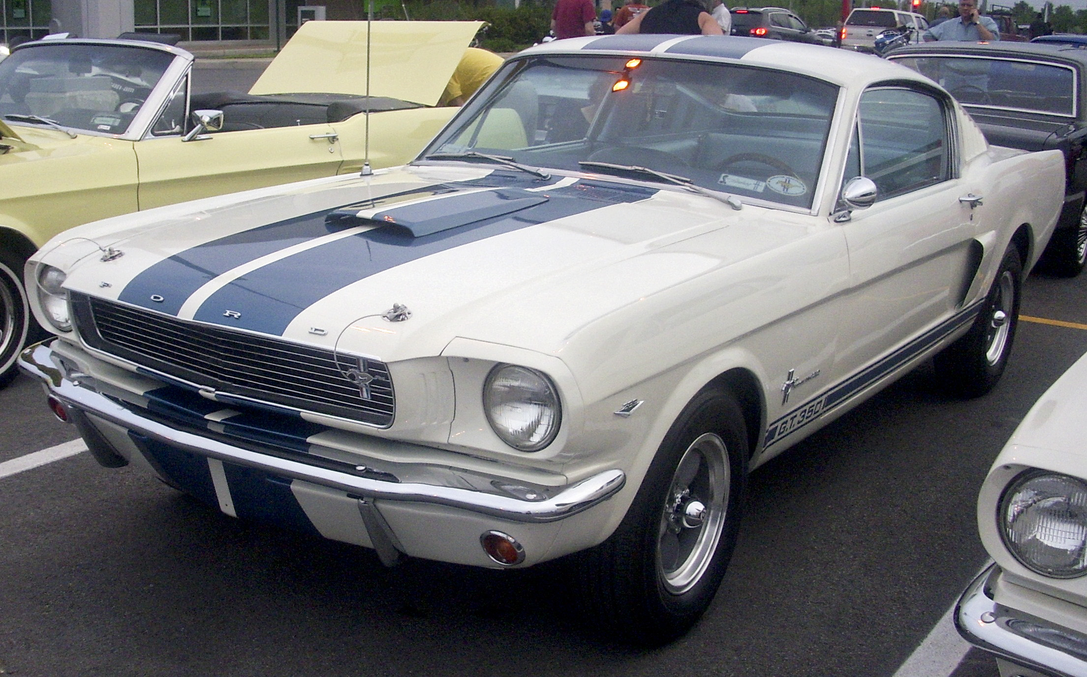 ford shelby mustang