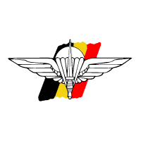 Special operations regiment