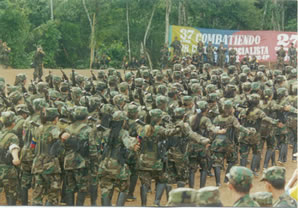 English: FOR IMMEDIATE RELEASE FARC guerrillas...