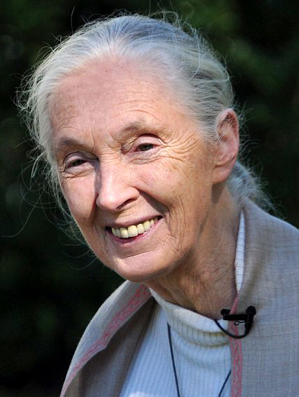 Jane Goodall